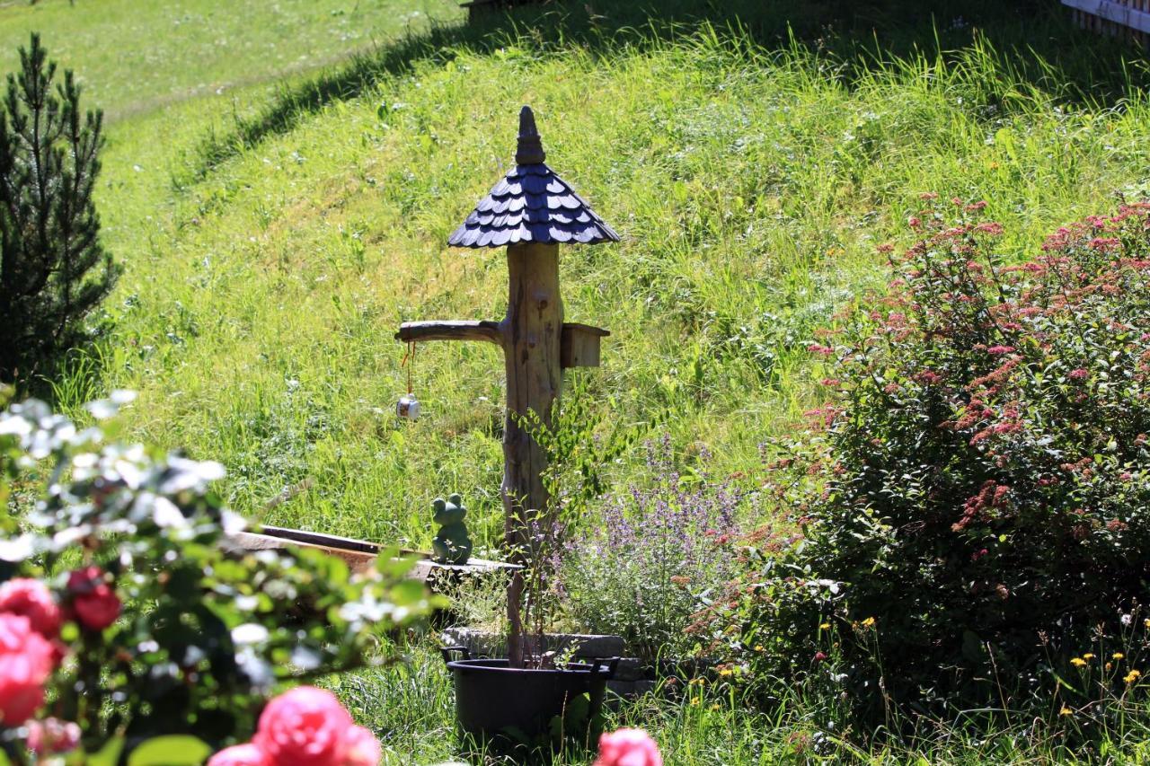 Bauerndoerfl Huettschlag Villa Luaran gambar